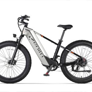 Zenith - Image 10