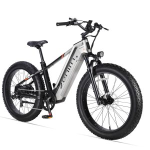 Zenith - Image 12