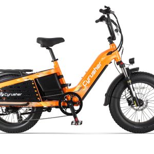 Glider - Image 12